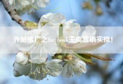 外贸推广之facebook主页营销实操！