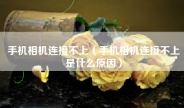 手机相机连接不上（手机相机连接不上是什么原因）
