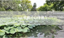 kpl 手机（kpl手机）