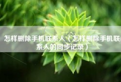 怎样删除手机联系人（怎样删除手机联系人的同步记录）