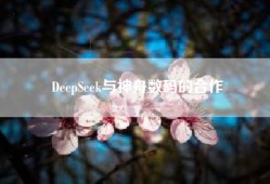 DeepSeek与神舟数码的合作