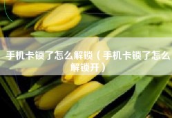 手机卡锁了怎么解锁（手机卡锁了怎么解锁开）