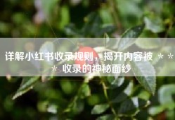 详解小红书收录规则，揭开内容被 ＊＊＊ 收录的神秘面纱