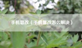 手机篡改（手机篡改怎么解决）