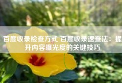 百度收录检查方式 百度收录速查法：提升内容曝光度的关键技巧