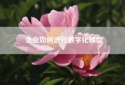 企业如何进行数字化转型