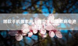 哪款手机像素高（哪款手机像素高电池耐用）