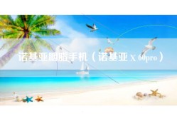 诺基亚胭脂手机（诺基亚ⅹ60pro）
