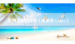 诺基亚胭脂手机（诺基亚ⅹ60pro）