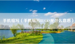 手机缩写（手机缩写BUCKS是什么意思）