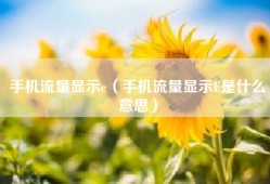 手机流量显示e（手机流量显示E是什么意思）