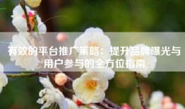 有效的平台推广策略：提升品牌曝光与用户参与的全方位指南