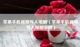 苹果手机视频导入电脑（苹果手机视频导入电脑步骤）