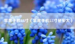 苹果手机5.5寸（苹果手机5.5寸是多大）