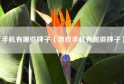 手机有哪些牌子（游戏手机有哪些牌子）