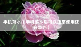 手机落水（手机落水后可以正常使用还有事吗）