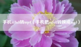 手机m3u8转mp4（手机把m3u8转换成mp4）