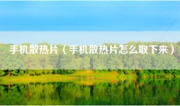 手机散热片（手机散热片怎么取下来）