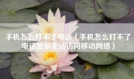 手机怎么打不了电话（手机怎么打不了电话显示无法访问移动网络）
