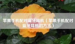 苹果手机配对蓝牙耳机（苹果手机配对蓝牙耳机的方法）