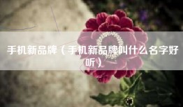 手机新品牌（手机新品牌叫什么名字好听）