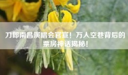 刀郎南昌演唱会官宣！万人空巷背后的票房神话揭秘！