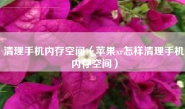 清理手机内存空间（苹果xr怎样清理手机内存空间）