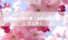 手机视频添加字幕（手机视频添加字幕怎么弄）