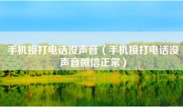手机接打电话没声音（手机接打电话没声音微信正常）