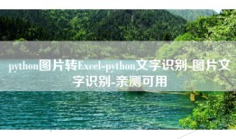 python图片转Excel-python文字识别-图片文字识别-亲测可用