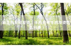 新手机充电发烫（手机充电手机发烫怎么回事）