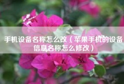 手机设备名称怎么改（苹果手机的设备信息名称怎么修改）