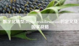 数字化转型(Digital transformation)的定义及国家战略