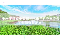 小米手机充电变慢（小米手机充电变慢了如何恢复正常）