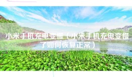 小米手机充电变慢（小米手机充电变慢了如何恢复正常）