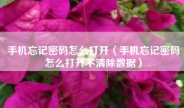 手机忘记密码怎么打开（手机忘记密码怎么打开不清除数据）