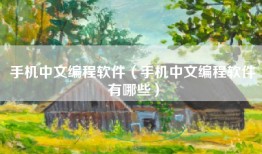 手机中文编程软件（手机中文编程软件有哪些）