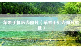 苹果手机后壳图片（苹果手机壳图片壁纸）