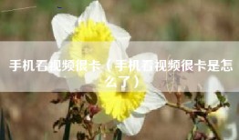 手机看视频很卡（手机看视频很卡是怎么了）