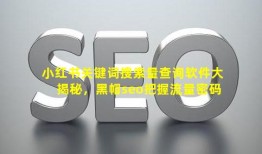 小红书关键词搜索量查询软件大揭秘，(黑帽seo)把握流量密码