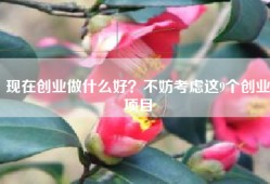 现在创业做什么好？不妨考虑这9个创业项目