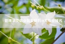 管理学类就业前景好的10大专业排名