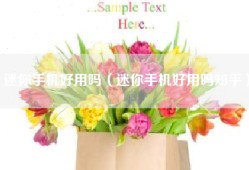 迷你手机好用吗（迷你手机好用吗知乎）