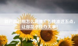 新产品初期怎么做推广？找准这五点，让你花小钱办大事！