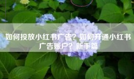 如何投放小红书广告？如何开通小红书广告账户？新手篇