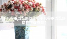 手机谷歌浏览器插件（手机谷歌浏览器插件下载安装）