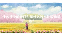 什么行业前景好？学什么技术比较有前途？