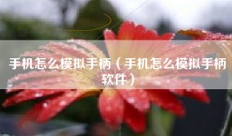 手机怎么模拟手柄（手机怎么模拟手柄软件）