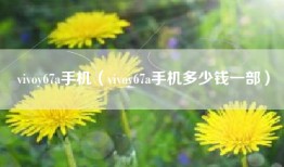 vivoy67a手机（vivoy67a手机多少钱一部）