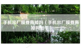 手机出厂膜要撕掉吗（手机出厂膜要撕掉吗知乎）